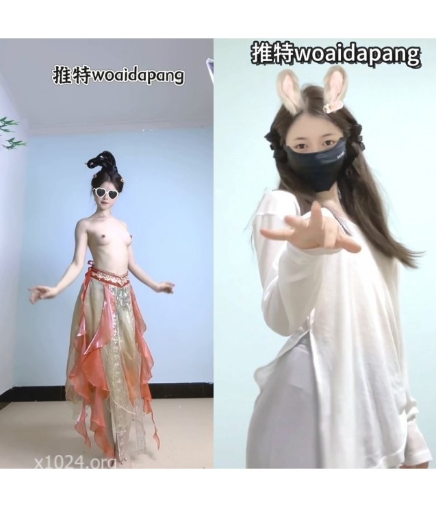 推特新晋级，舞蹈专业小浪蹄【woaidapang】会员福利，各种裸舞，专业就是不一样，很反差 [17V/343MB]