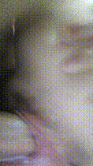 (9)