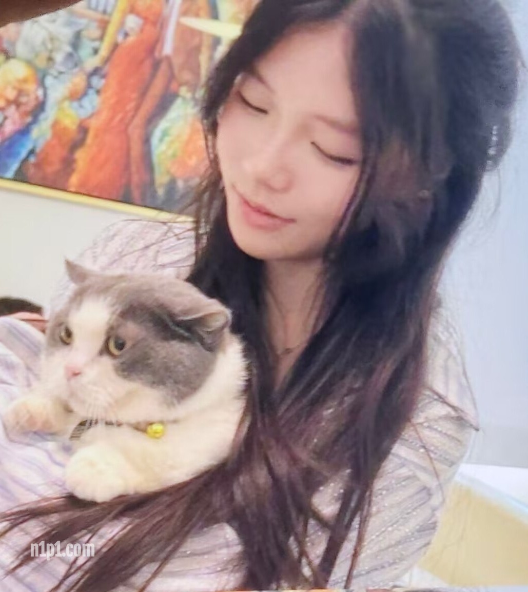 上海高颜值小姐姐露脸性爱，如痴如醉握着大肉棒吸舔 [10P+12V/334MB]